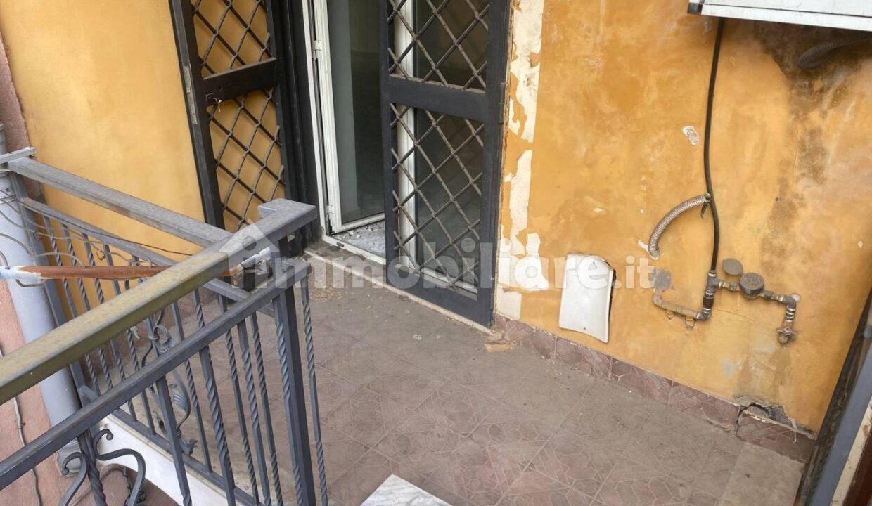xxl (7)